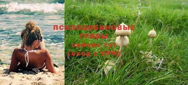 кокс Алексеевка