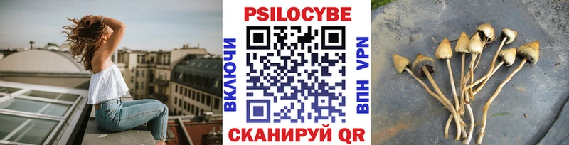 цены   Мантурово  OMG ссылка  Галлюциногенные грибы Psilocybine cubensis 